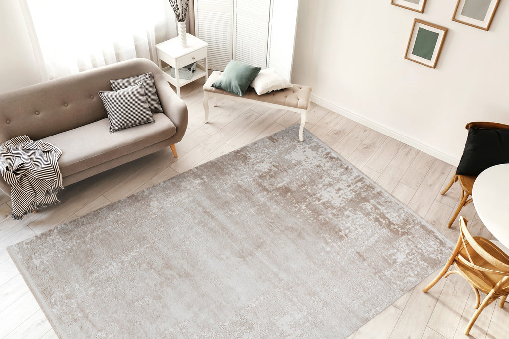 Triomphe 502 beige textured rug styled in a room