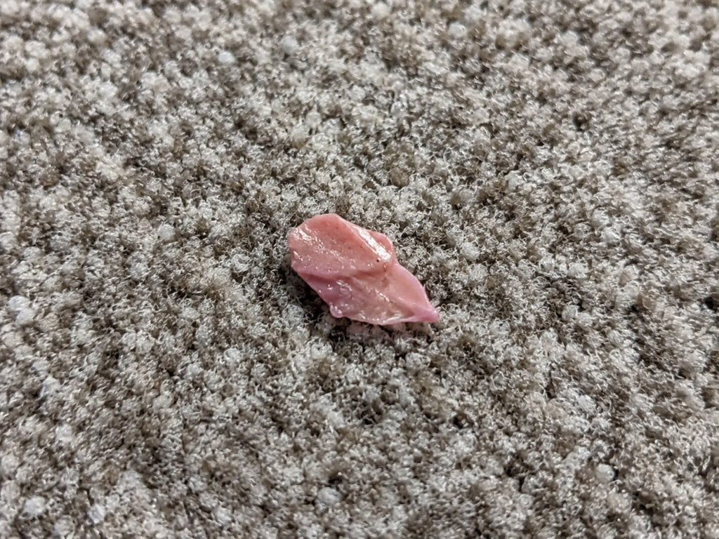 How to Get Chewing Gum Out of Carpet