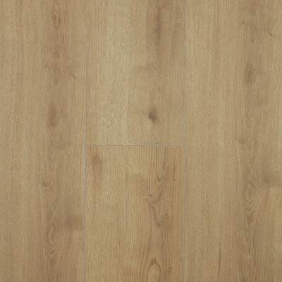 Oak Adaja