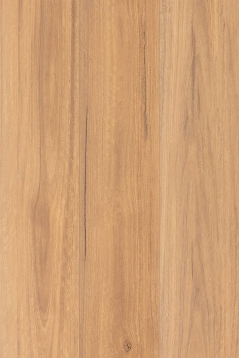 12mm AC5 Laminate - NuCore Extreme - Spotted Gum - Adore Rugs & Flooring