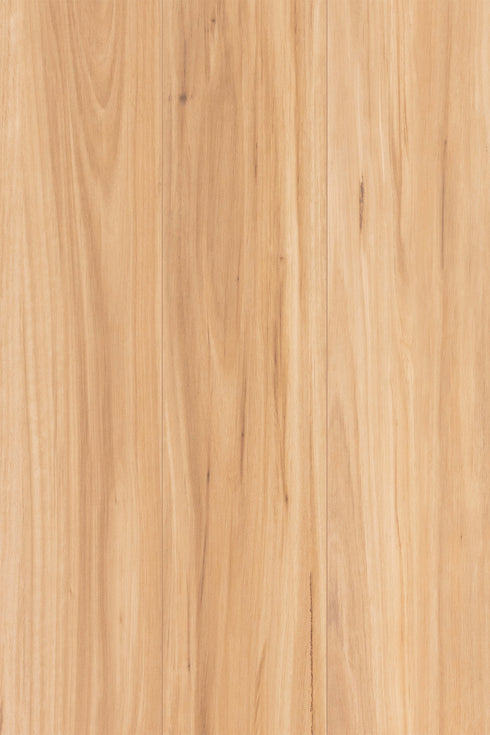 12mm AC5 Laminate - NuCore Extreme - Blackbutt - Adore Rugs & Flooring