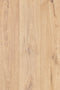 12mm AC4 Laminate - NuCore Excellence - Dover - Adore Rugs & Flooring