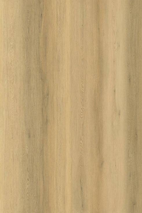 10mm Hybrid - Zenith 1800 - Cosmic Sand