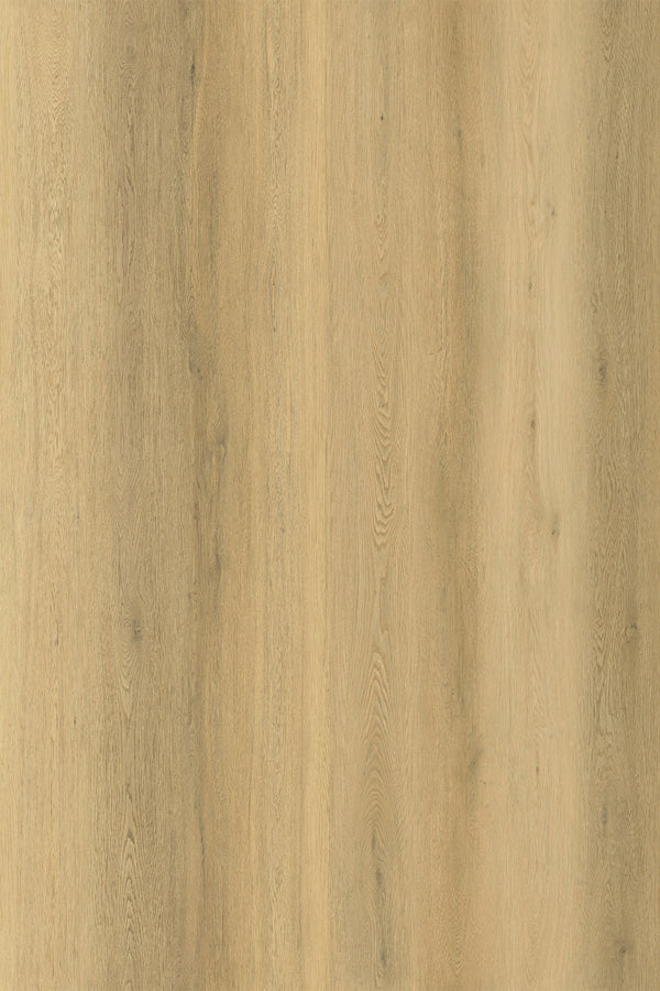 10mm Hybrid - Zenith 1800 - Cosmic Sand