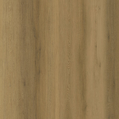 Stellar Oak