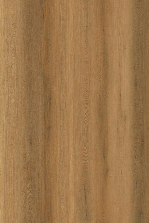 10mm Hybrid - Zenith 1800 - Galactic Grove