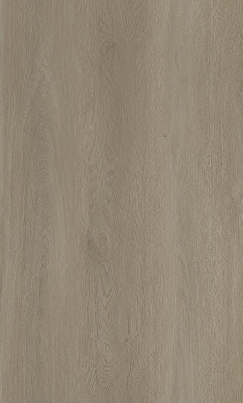 2.5mm Vinyl Plank - Olympus Neo - Eos