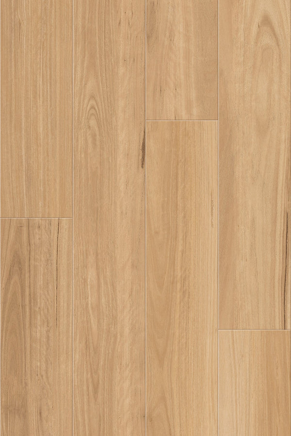 8.5mm SPC Hybrid - Corsica 855 - Coastal Blackbutt - Adore Rugs & Flooring