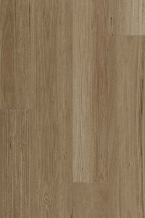 9.7mm SPC Hybrid - Summit 977 - New England Blackbutt - Adore Rugs & Flooring