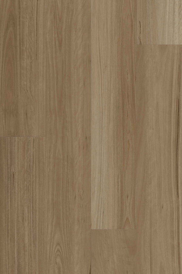 9.7mm SPC Hybrid - Summit 977 - New England Blackbutt - Adore Rugs & Flooring