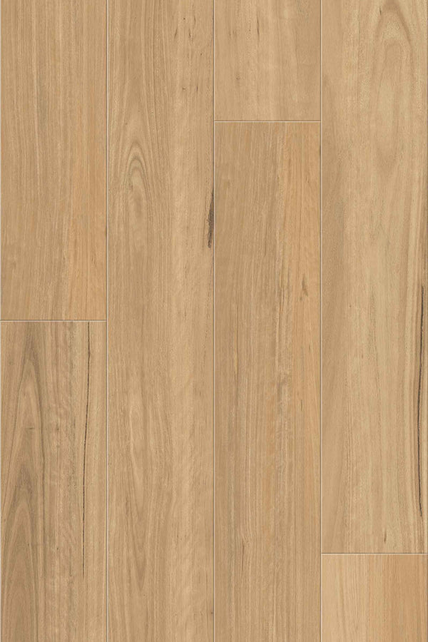 9.7mm SPC Hybrid - Summit 977 - Coastal Blackbutt - Adore Rugs & Flooring