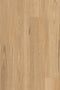 9.7mm SPC Hybrid - Summit 977 - Coastal Blackbutt - Adore Rugs & Flooring