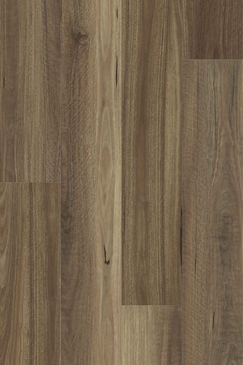 9.7mm SPC Hybrid - Summit 977 - Scenic Spotted Gum - Adore Rugs & Flooring