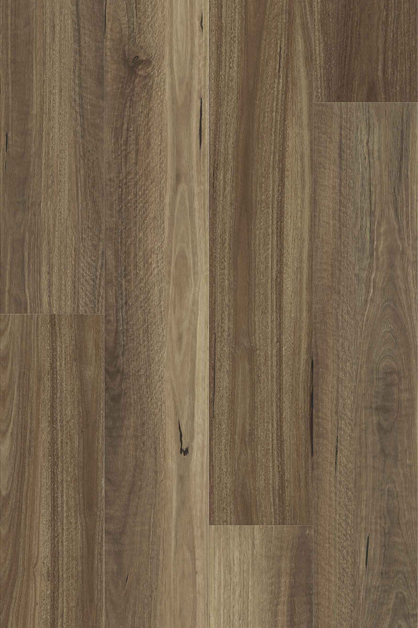 9.7mm SPC Hybrid - Summit 977 - Scenic Spotted Gum - Adore Rugs & Flooring
