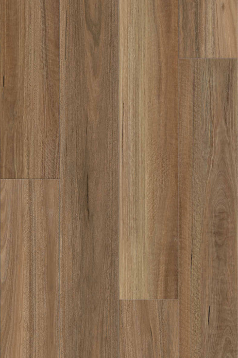 9.7mm SPC Hybrid - Summit 977 - Northern Spotted Gum - Adore Rugs & Flooring