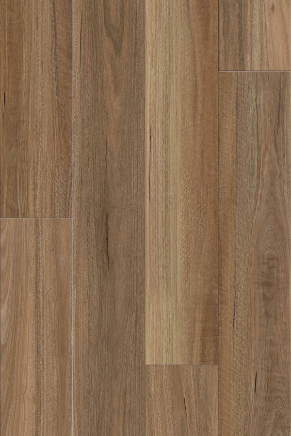 9.7mm SPC Hybrid - Summit 977 - Northern Spotted Gum - Adore Rugs & Flooring