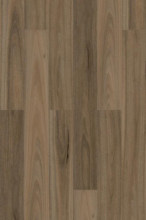 7mm SPC Hybrid - Eternity 705 - Country Spotted Gum - Adore Rugs & Flooring