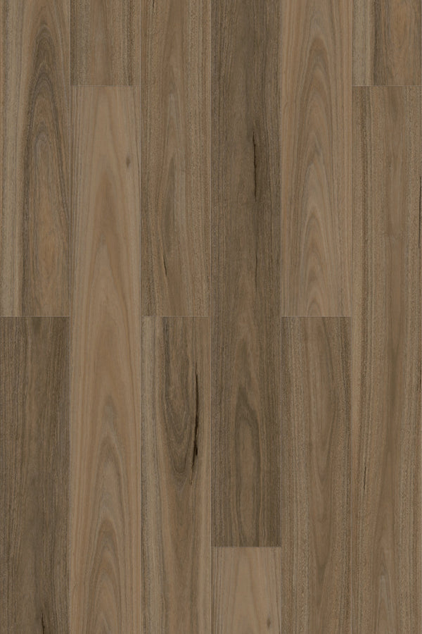 7mm SPC Hybrid - Eternity 705 - Country Spotted Gum - Adore Rugs & Flooring