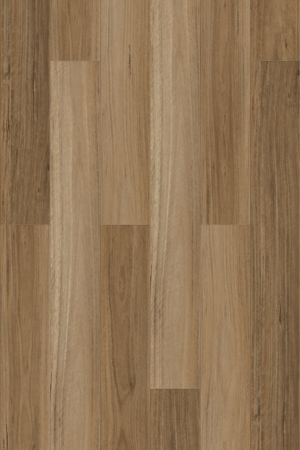 7mm SPC Hybrid - Eternity 705 - Northern Blackbutt - Adore Rugs & Flooring
