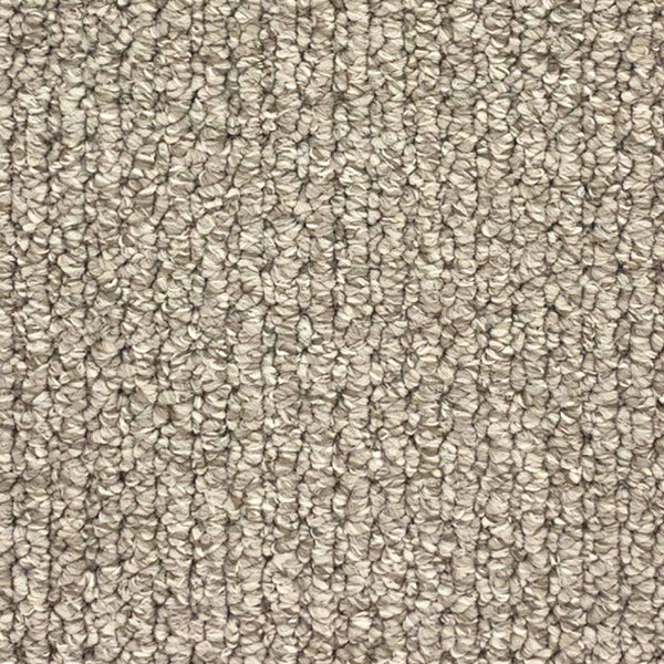 11mm Loop Pile Carpet - Alexandria - Shell Web