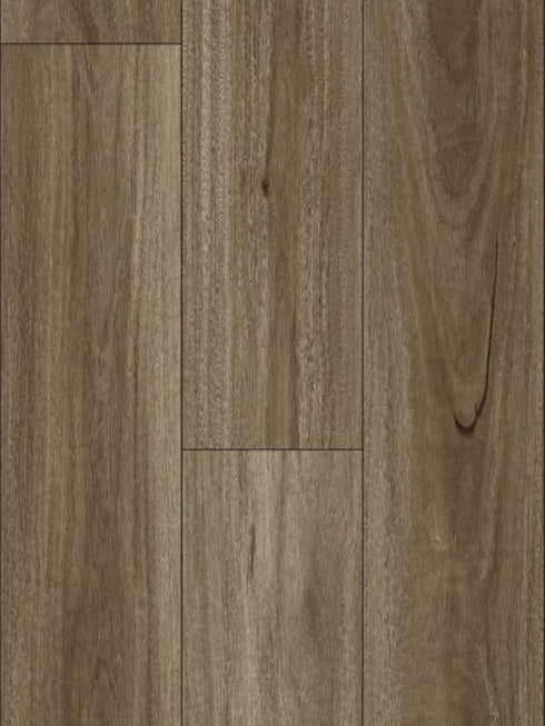 12mm Waterproof Laminate - AquaGlow - Spotted Gum