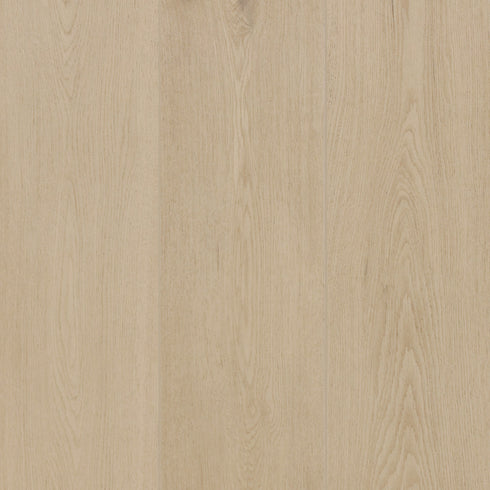 12mm Laminate Flooring - Oakleaf HD Plus - Arctic Fox