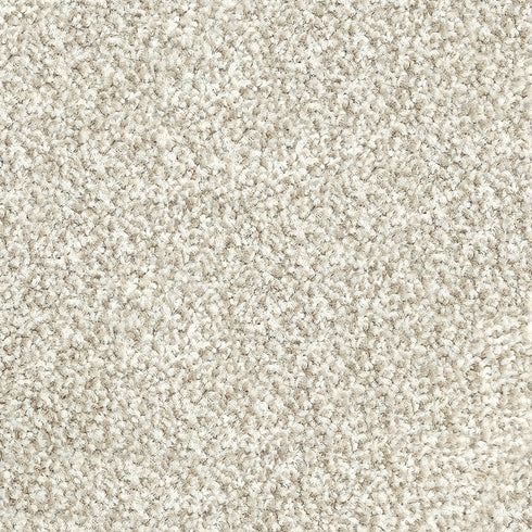12.5mm Cut Pile Carpet - Parkview Gardens - Auburn