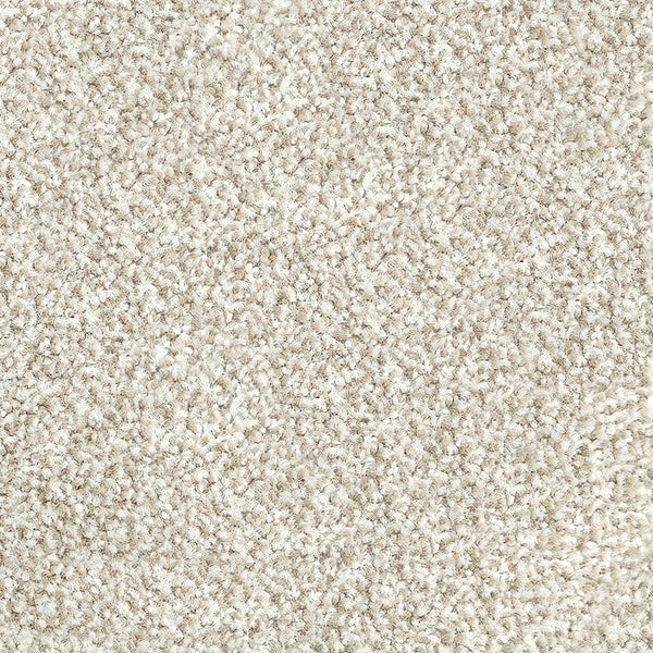 12.5mm Cut Pile Carpet - Parkview Gardens - Auburn