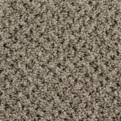 Baltimore - Dune - 10mm Commercial Carpet