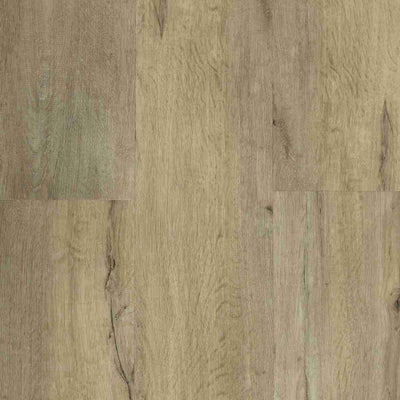 Barn Oak