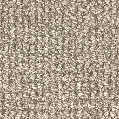 9mm Scroll Loop Pile Carpet - Ben Ghazi - Shell - Adore Rugs & Flooring