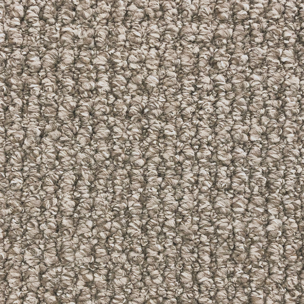 9mm Scroll Loop Pile Carpet - Ben Ghazi - Shore - Adore Rugs & Flooring