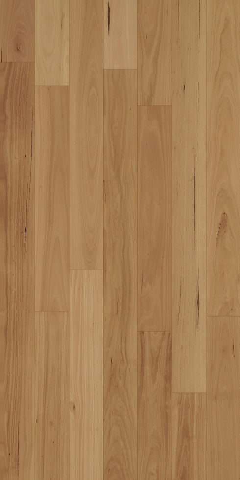 Swish Native Hardwood Blackbutt Select low feature grade warm blonde Australian hardwood flooring swatch