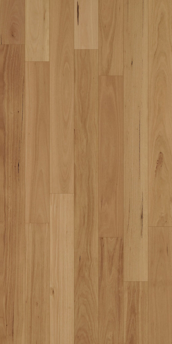 Swish Native Hardwood Blackbutt Select low feature grade warm blonde Australian hardwood flooring swatch