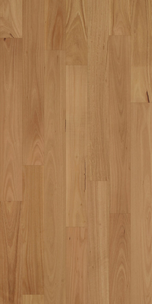 Swish Native Hardwood Blackbutt Natural ABCD grade pale honey Australian hardwood flooring swatch