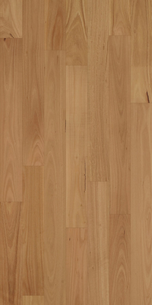 Swish Native Hardwood Blackbutt Neat clean ABC grade pale blonde Australian hardwood flooring swatch