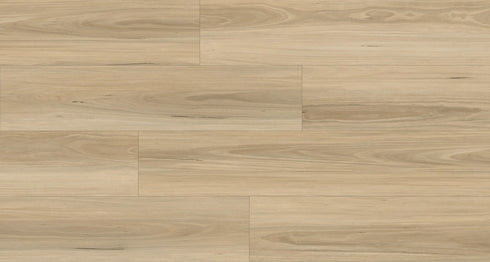 Ornato Blackbutt 5.3mm looselay vinyl plank swatch in pale sandy blonde with fine Australian blackbutt grain