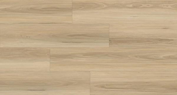 Ornato Blackbutt 5.3mm looselay vinyl plank swatch in pale sandy blonde with fine Australian blackbutt grain