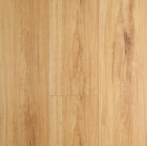 8mm Laminate Flooring - Oakleaf - Blackbutt