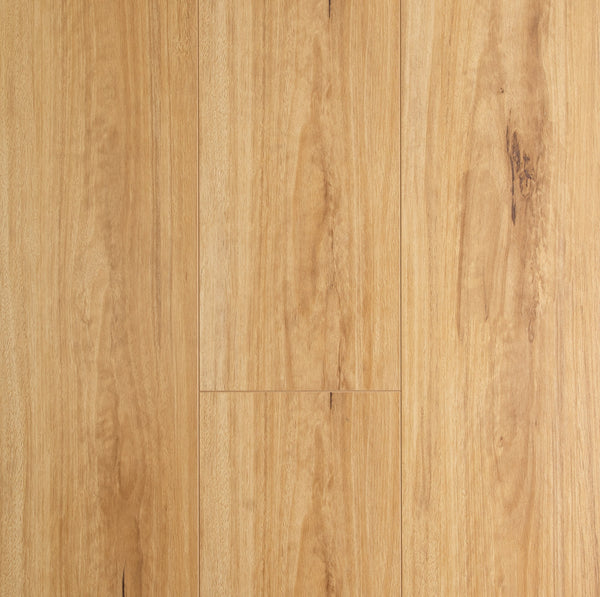 8mm Laminate Flooring - Oakleaf - Blackbutt