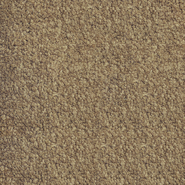 12.5mm Cut Pile Carpet - Parkview Gardens - Bronte
