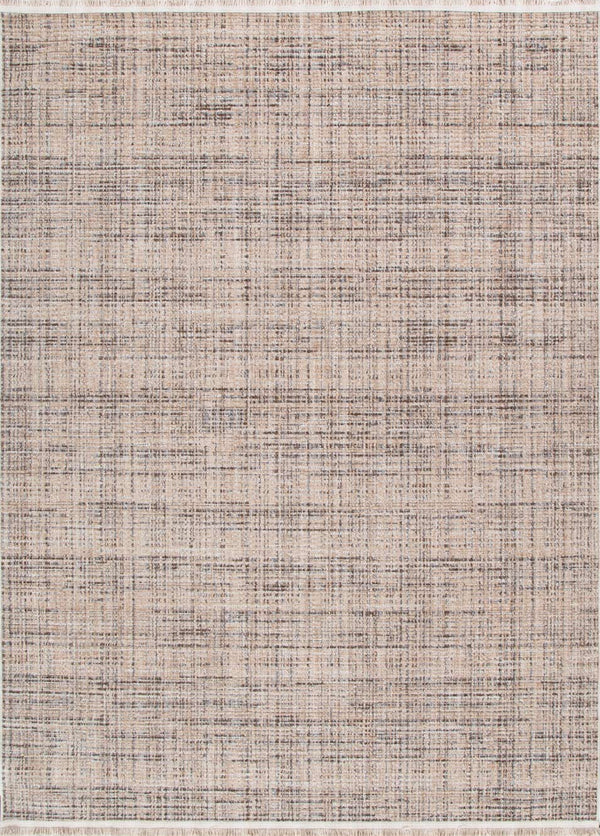 Cherie Distressed Look Beige Grey Rug - CH03, full view