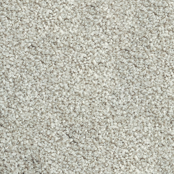 12.5mm Cut Pile Carpet - Parkview Gardens - Castle Cove