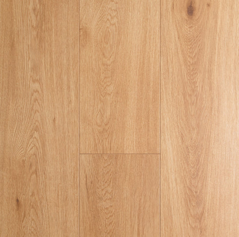 8mm Laminate Flooring - Oakleaf - Classic Oak
