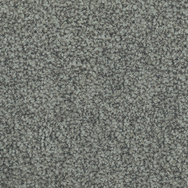 12.5mm Cut Pile Carpet - Parkview Gardens - Double Bay