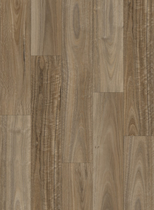 Eco Flooring Ornato Grande 9.0 Ghost Gum 9mm hybrid flooring