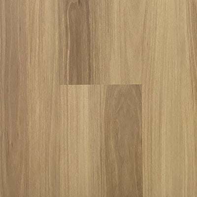 Blackbutt