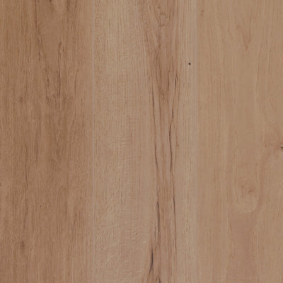 Hickory