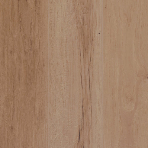 12mm Laminate Flooring - Oakleaf HD Plus - Hickory