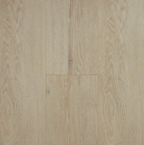 Windsor 12mm Oakleaf HD Plus Laminate Flooring - Adore Rugs & Flooring